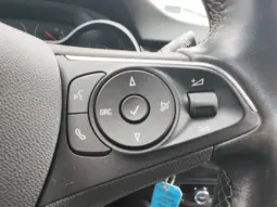 
										OPEL CROSSLAND X full									