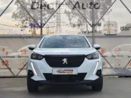 
										PEUGEOT 2008 full									