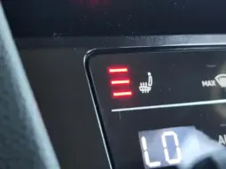 
										VOLKSWAGEN PASSAT full									