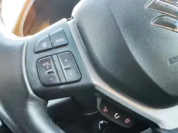 
										SUZUKI SX4 S CROSS full									