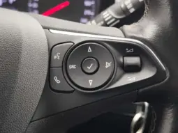 
										OPEL CROSSLAND X full									