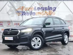 
										SKODA KODIAQ full									