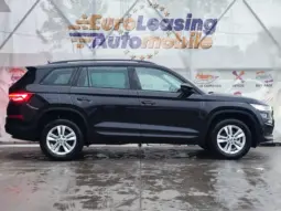 
										SKODA KODIAQ full									