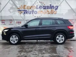 
										SKODA KODIAQ full									
