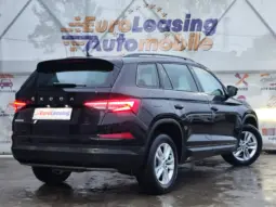 
										SKODA KODIAQ full									