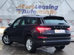 
										SKODA KODIAQ full									