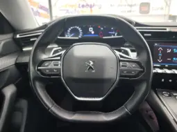 
										PEUGEOT 508 full									