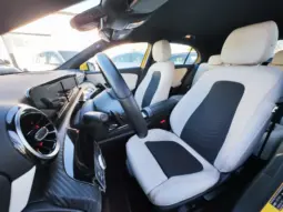 
										MERCEDES BENZ A full									