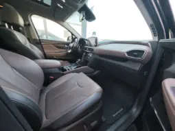 
										HYUNDAI SANTA FE full									