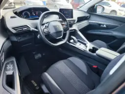 
										PEUGEOT 3008 full									