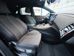 
										DS AUTOMOBILES DSA DS7 CROSSBACK full									