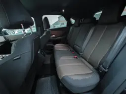 
										DS AUTOMOBILES DSA DS7 CROSSBACK full									