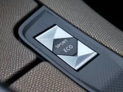 
										DS AUTOMOBILES DSA DS7 CROSSBACK full									