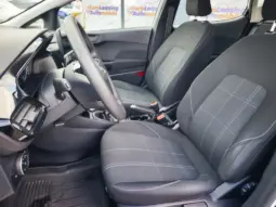 
										FORD FIESTA full									