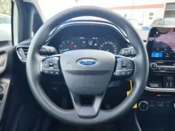 
										FORD FIESTA full									