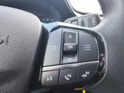 
										FORD FIESTA full									