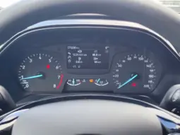 
										FORD FIESTA full									