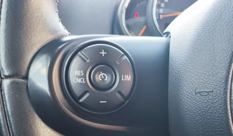 
								MINI COUNTRYMAN full									