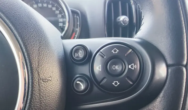 
								MINI COUNTRYMAN full									