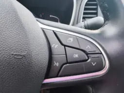 
										RENAULT MEGANE full									