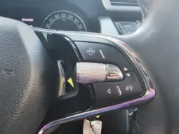 
										SKODA FABIA full									