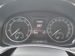
										SKODA FABIA full									