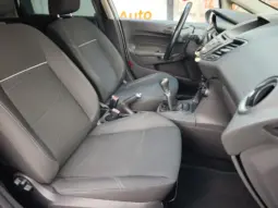 
										FORD FIESTA full									