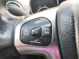 
										FORD FIESTA full									