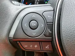 
										TOYOTA RAV 4 full									
