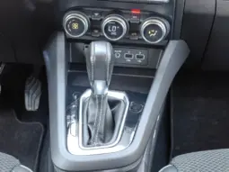 
										RENAULT ARKANA full									