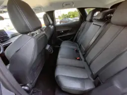 
										PEUGEOT 3008 full									