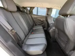 
										PEUGEOT 3008 full									