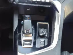 
										PEUGEOT 3008 full									