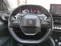 
										PEUGEOT 3008 full									