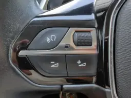 
										PEUGEOT 3008 full									