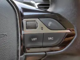 
										PEUGEOT 3008 full									
