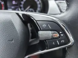 
										SKODA FABIA full									