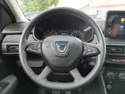 
										DACIA SANDERO full									
