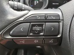 
										TOYOTA YARIS CROSS full									