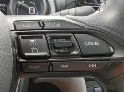 
										TOYOTA YARIS CROSS full									