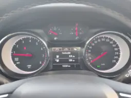 
										OPEL INSIGNIA full									